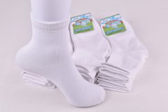 Шкарпетки дитячі "Житомир" бавовна (Арт. OK149-W/20-22) | 12 пар