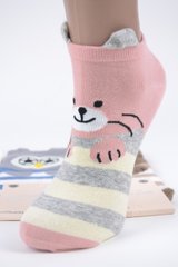 Жіночі шкарпетки занижені "AURA" Cotton (NDP6027/38-41) | 5 пар