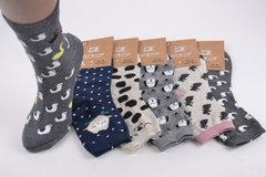 Жіночі шкарпетки з малюнком "Cotton" (Арт. NZP5007/38-41) | 5 пар
