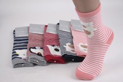 Жіночі шкарпетки "AURA" THERMO Cotton (арт. NPV5095/38-41) | 5 пар