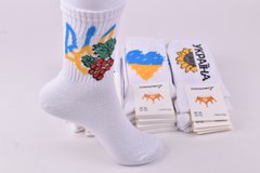 Шкарпетки жіночі "Житомир" бавовна (Арт. AK969) | 12 пар