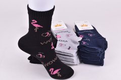 Шкарпетки жіночі "Житомир" бавовна (Арт. AK792) | 12 пар