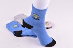 Шкарпетки дитячі на хлопчика "Житомир" бавовна (Арт. ME33304/18-20) | 12 пар