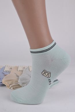 Шкарпетки жіночі Бавовняні "Занижені" (C555-3) | 12 пар
