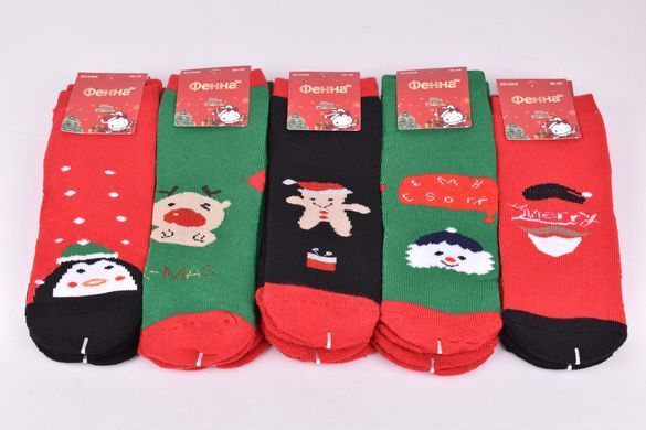 Шкарпетки дитячі Merry Christmas "Фенна" Махра бавовна (Арт. FEC3365-4/30-35) | 10 пар