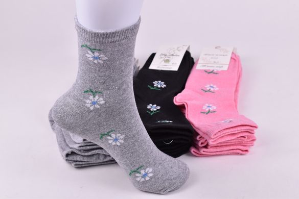 Шкарпетки жіночі "Житомир" бавовна (Арт. OAM382) | 12 пар