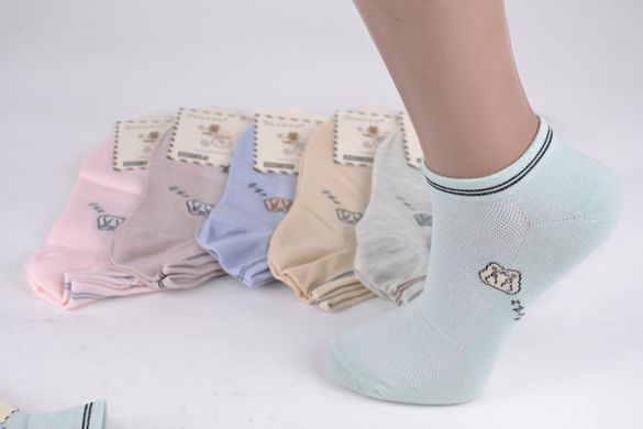 Шкарпетки жіночі Бавовняні "Занижені" (C555-3) | 12 пар