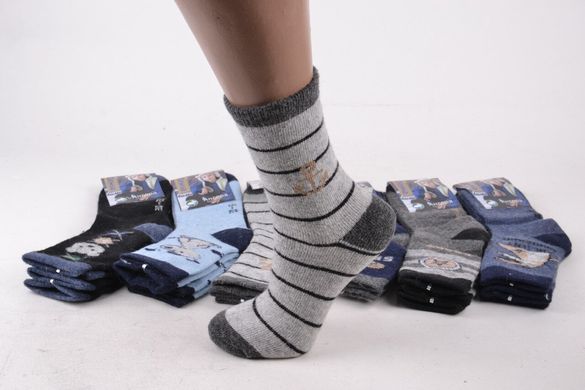 Дитячі шкарпетки на хлопчика Вовна АНГОРА (FE5026/20-25) 12 пар