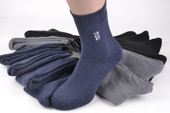 Чоловічі шкарпетки "ЖИТОМИР" Махра (арт. OLM29/25) | 12 пар