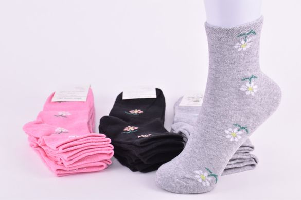 Шкарпетки жіночі "Житомир" бавовна (Арт. OAM382) | 12 пар