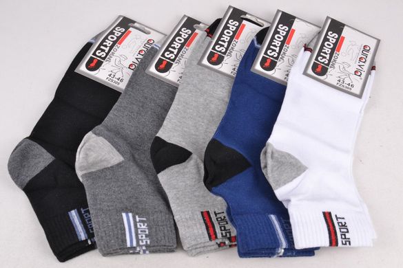 Чоловічі шкарпетки SPORT "Cotton" (Арт. FZS305/39-42) | 5 пар