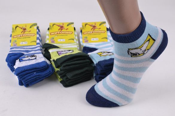 Шкарпетки дитячі на хлопчика "Житомир" ХЛОПОК (OAM319/14-16) | 12 пар