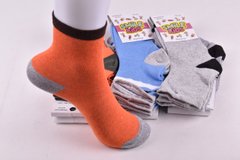 Шкарпетки дитячі на хлопчика "Житомир" бавовна (Арт. ME43101/18-20) | 12 пар