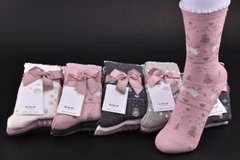 Шкарпетки жіночі "AURA" COTTON (Арт. SNX7776/38-41) | 6 пар