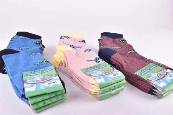 Шкарпетки дитячі "Житомир" ХЛОПОК (Арт. OK152/1) | 12 пар