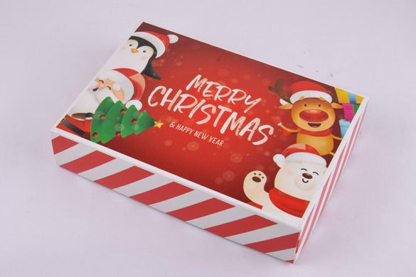 Шкарпетки Жіночі Махрові "Merry Christmas" у подарунковій упаковці (Aрт. Y105/6) | 1 компл.