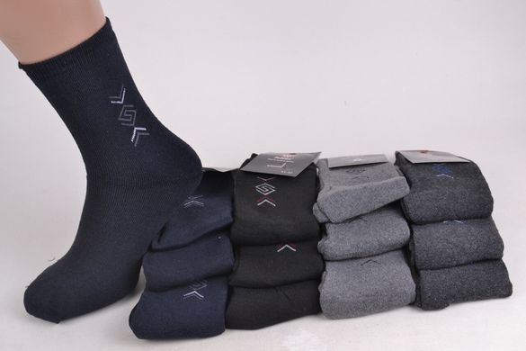 Шкарпетки чоловічі махра (F621-14) | 12 пар