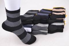 Шкарпетки жіночі в смужку бавовна МАХРА (Арт. LC322) | 12 пар