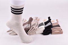 Шкарпетки жіночі "Житомир" COTTON (Арт. AK788) | 12 пар