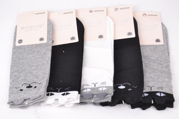 Жіночі шкарпетки "AURA" Cotton (Арт. NDP6256/35-38) | 5 пар