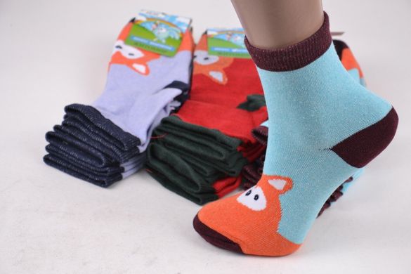 Шкарпетки дитячі "Житомир" ХЛОПОК (Арт. OK111/18-20) | 12 пар
