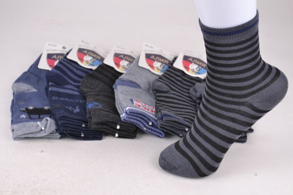 Шкарпетки дитячі на хлопчика "Алія" ХЛОПОК (Арт. ALC63/S) | 12 пар