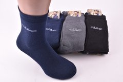 Шкарпетки чоловічі COTTON МАХРА (Арт.LCWG2-4) | 12 пар