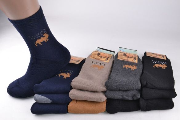 Шкарпетки чоловічі вовняні (F108) | 12 пар