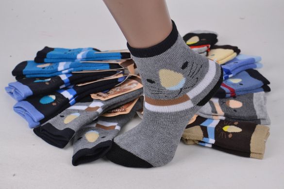 Шкарпетки дитячі "Корона" бавовна МАХРА (Арт. LKC3220/M) | 12 пар