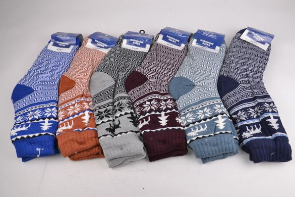 Чоловічі шкарпетки на хутрі з гальмами (Арт. A100-5) | 6 пар