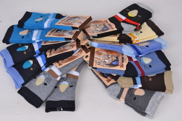 Шкарпетки дитячі "Корона" бавовна МАХРА (Арт. LKC3220/M) | 12 пар