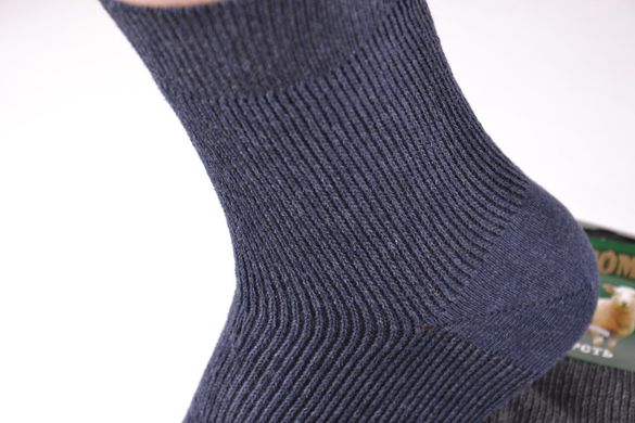 Чоловічі шкарпетки "Житомир" (Арт. PT203/25) | 12 пар