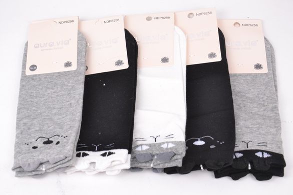 Жіночі шкарпетки "AURA" Cotton (Арт. NDP6256/38-41) | 5 пар
