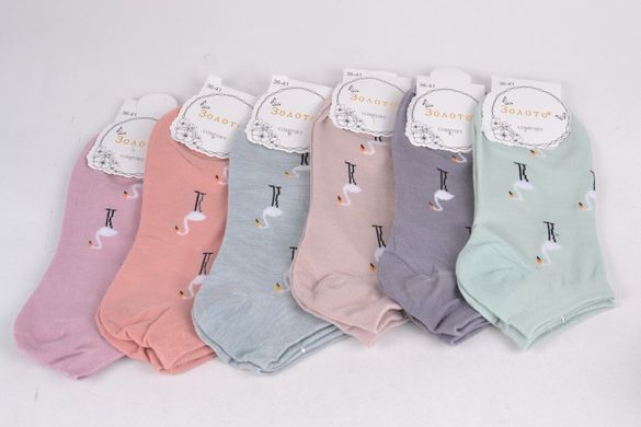 Шкарпетки жіночі Бавовняні "Занижені" (C554-5) | 12 пар