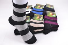 Шкарпетки жіночі "Дукат" МАХРА бавовни (Арт. PTM185/27) | 12 пар