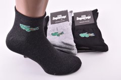 Шкарпетки чоловічі COTTON (Арт. Y9108A) | 12 пар