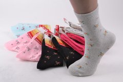 Махрові шкарпетки (Арт. VSY099) | 10 пар