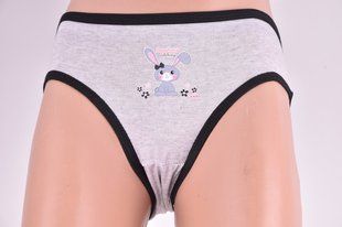 Труси дитячі на дівчинку COTTON (Арт. SL1227/L) | 10 шт.