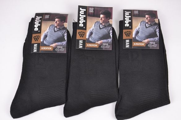 Шкарпетки чоловічі Бавовняні (Арт. F515-6H) | 12 пар