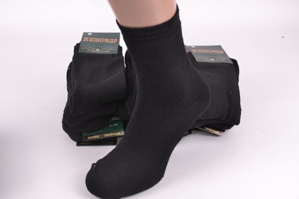 Чоловічі Махрові шкарпетки "ЖИТОМИР" (арт. PTM0010/11) | 12 пар