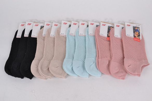 Шкарпетки жіночі занижені "Сітка" ХЛОПОК (HB2501-1) | 12 пар