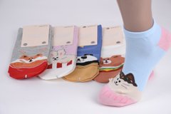 Жіночі шкарпетки з малюнком "AURA" Cotton (Арт. NDP6219/38-41) | 5 пар