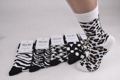 Жіночі шкарпетки з малюнком "Cotton" (Арт. NC5622/35-38) | 5 пар