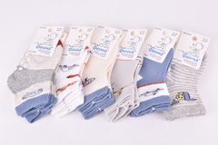 Шкарпетки дитячі на хлопчика "Фенна" бавовна (Арт. FEC018-5/0-6) | 12 пар