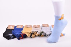 Шкарпетки дитячі на хлопчика "Корона" ХЛОПОК (Арт. LKC3162/31-36) | 12 пар