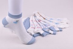Шкарпетки жіночі занижені "Фенна" бавовна (Арт. D715-5) | 10 пар