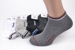 Шкарпетки чоловічі занижені ХЛОПОК (Арт. FEA026) | 10 пар