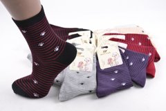Жіночі Бавовняні шкарпетки "Шугуан" (HB2273-4) | 12 пар