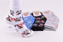Шкарпетки дитячі на хлопчика "Житомир" бавовна (Арт. ME34105/20-22) | 12 пар