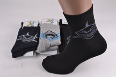 Чоловічі шкарпетки з малюнком ХЛОПОК (PT299) | 12 пар